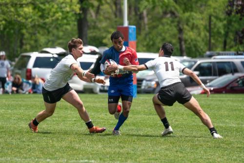 Harlequins Mens Rugby