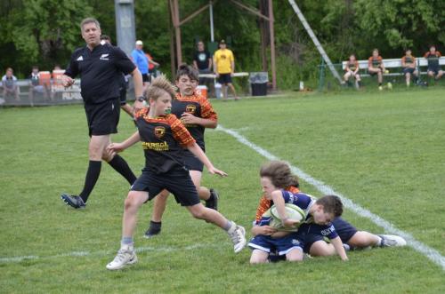 bdebbdc4-b374-420f-82ed-45072e17085c 1 201 a 51187714242 o