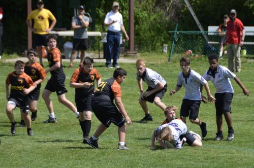 c84d7885-9e30-4739-8b59-d6a86dcb13ae 1 201 a 51189185989 o