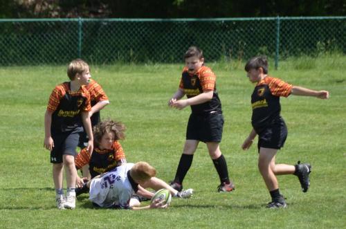 ca8d634e-2fe7-45a7-9702-76106c5b6560 1 201 a 51187714662 o