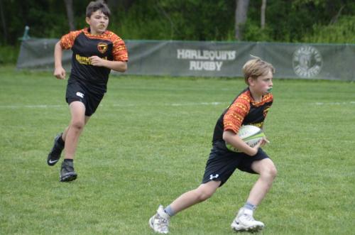 d274c7a0-2230-4fa6-b083-e0f489c6eea7 1 201 a 51187714417 o