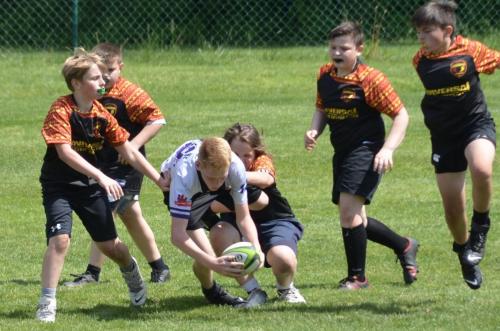 f60c8273-b6d9-4773-838a-888aa146981c 1 201 a 51189482175 o